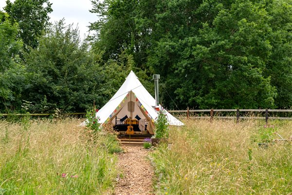 a single bell tent surrounded by tall grass with a wood chip path leading to it.